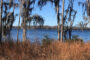 property gallery-image