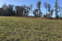 property gallery-image
