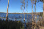 property gallery-image