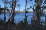 property gallery-image