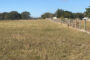 property gallery-image