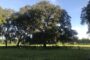 property gallery-image