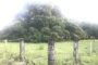 property gallery-image