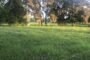 property gallery-image