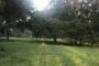 property gallery-image