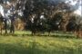 property gallery-image