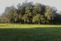 property gallery-image